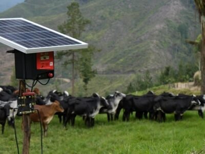 Fedegán-DíasinIVA-productosaadquirir