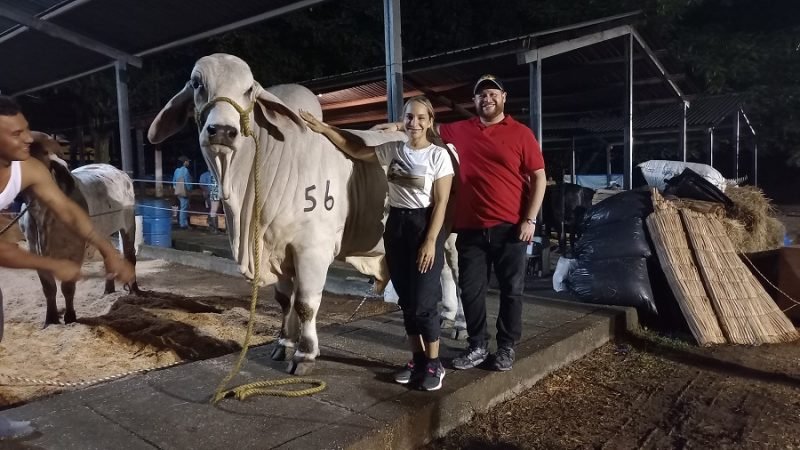 FeriadelaGanadería-GobernadoryGestora