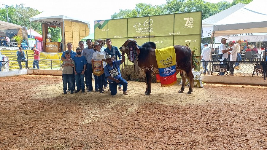 GranCampeónGyr