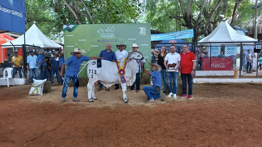 GranCampeónReservado