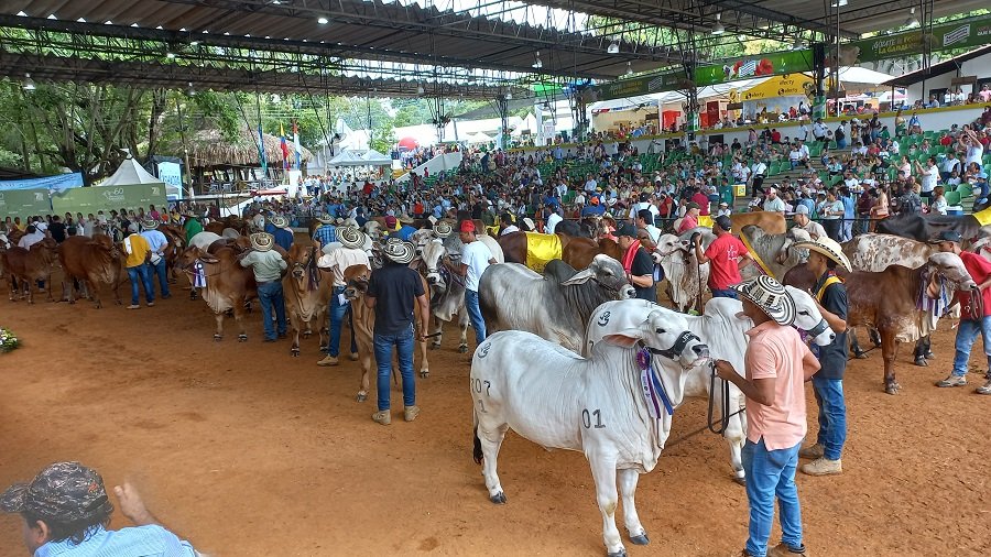 Grandescampeones-varios