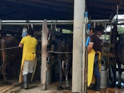 Leche-ordeñomecánico