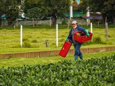 MujeresVicepresidencia-Mujeremprende
