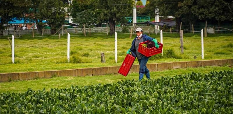 MujeresVicepresidencia-Mujeremprende