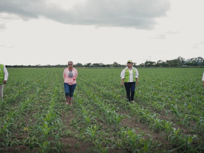 NellysContrerasGonzález-beneficiariaseguroparamétrico