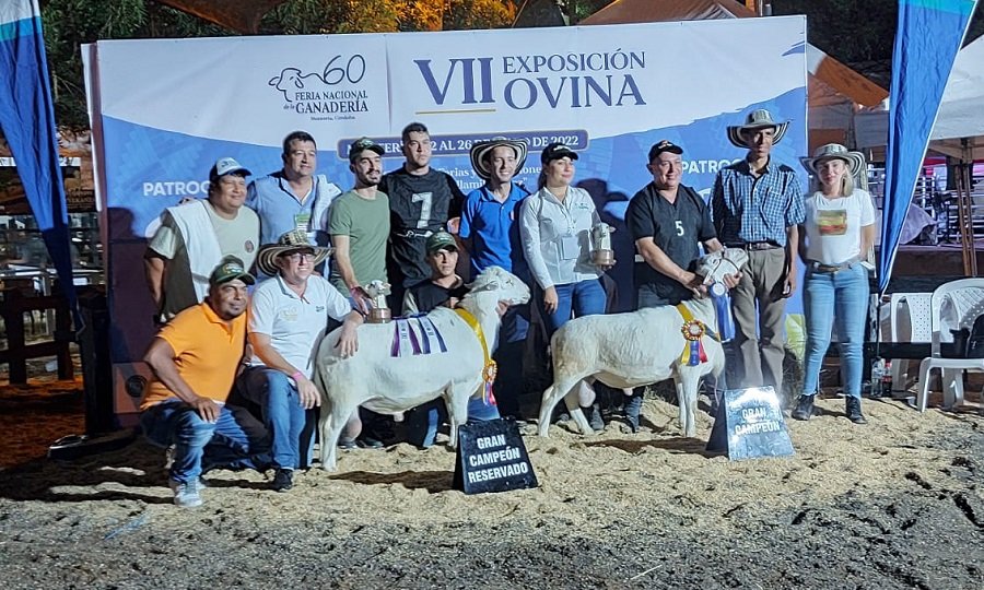 Ovino-GranCampeón-Katahdin