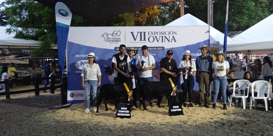 Ovino-GranCampeón-SantaInés