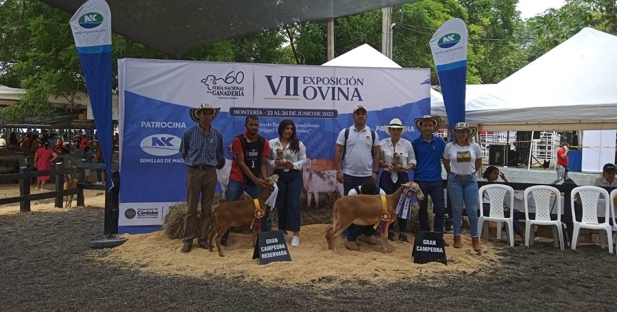 Ovino-GranCampeona-Pelibuey