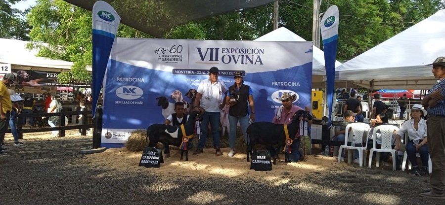 Ovino-GranCampeona-SantaInés