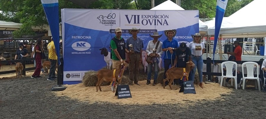 Ovino-GranCampeonaOPC-1