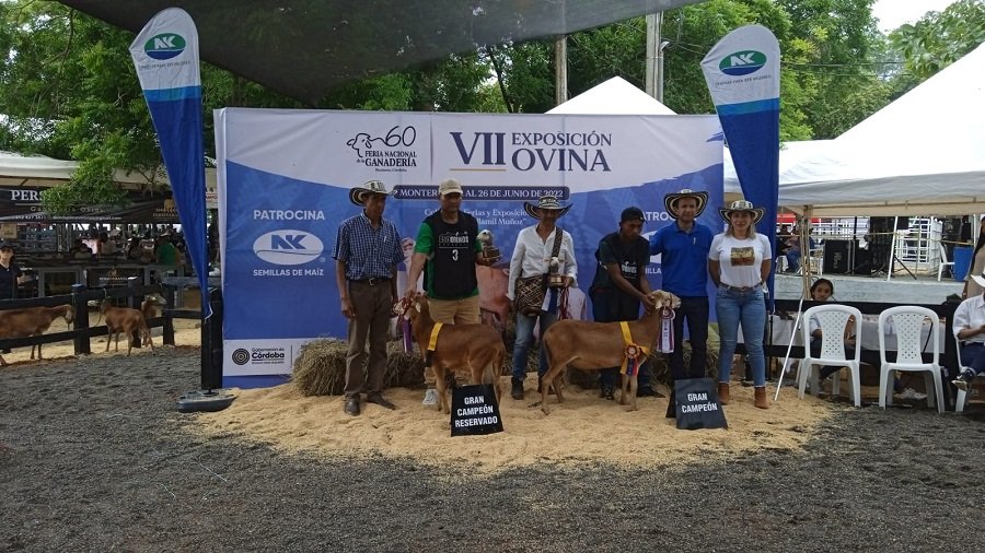 Ovino-razaOPC-GranCampeón