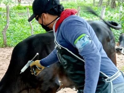 Vacunacionantiaftosa-foto comu cuarta semana (2)