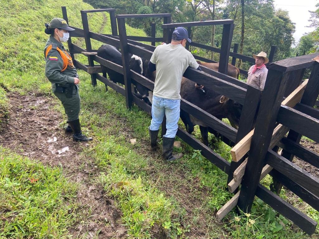 Vacunaciónantiaftosa-primerciclo2022-5tasemana-1