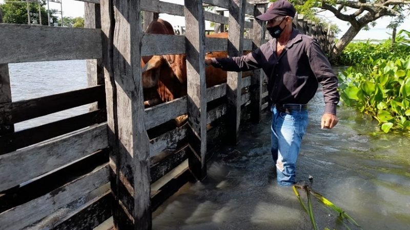 Vacunaciónantiaftosa-primerciclo2022-5tasemana (2)