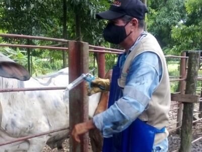 Vacunacióncontraaftosa-primerciclo-2022 (4)