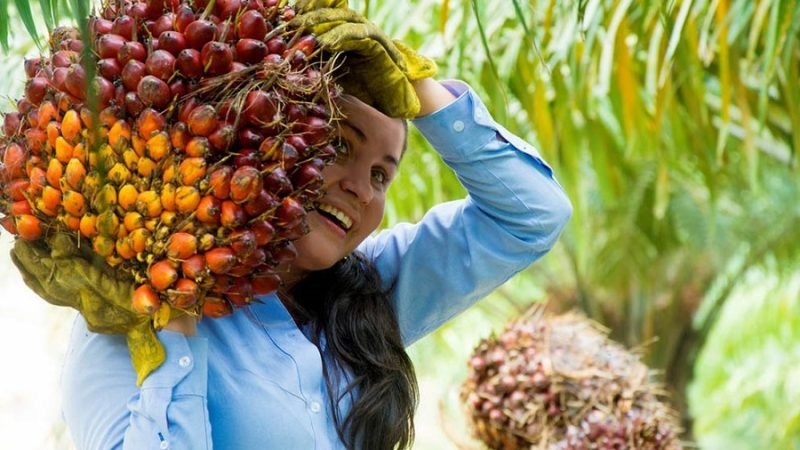 MUJER-PALMERA-3 (2)