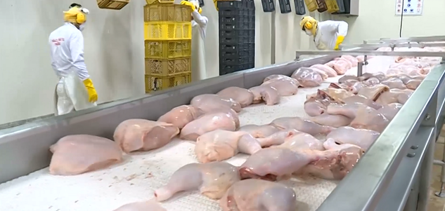 MacPollo-muslosdepollo-foto
