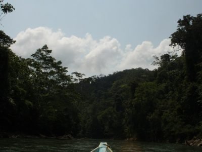 ParqueNaturalParamillo 394