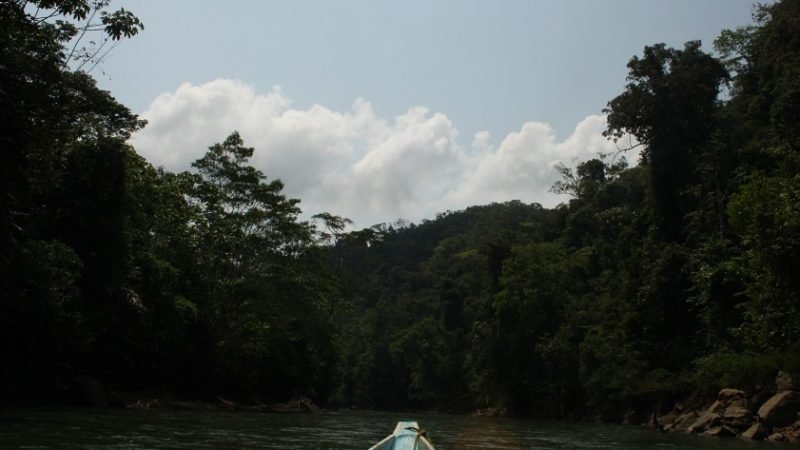 ParqueNaturalParamillo 394
