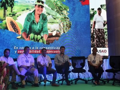 Usaid-hortofrutícola