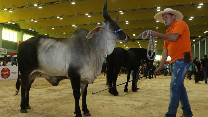 agroexpocaribe-01