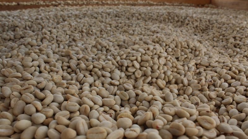 Caféengranoseco