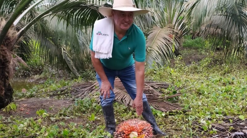 Fedepalma-Adolfo Sepúlveda mayor productividad Urabá 2022 (2)