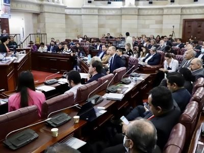 Ganado-ComisiónQuinta-Senado-exportacionesenpie