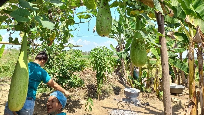 Mujercampesinaconverdura