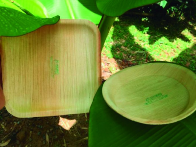 Platosabasedeplátano