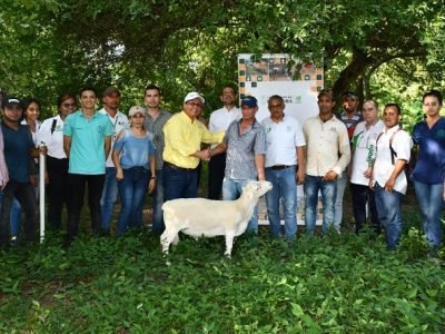 Unicor-seguridadalimentaria-Tuchín-Chimá-carneros