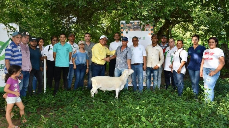 Unicor-seguridadalimentaria-Tuchín-Chimá-carneros