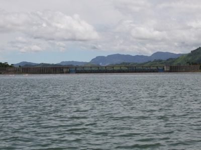 Urrá-proyectosproductivos 249 (3)