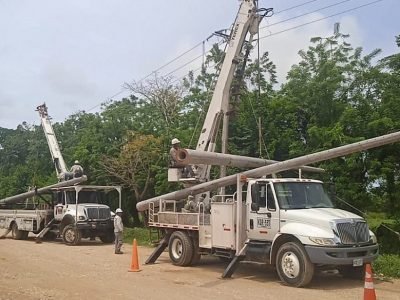 Afinia-cortesdel22al25deseptiembre