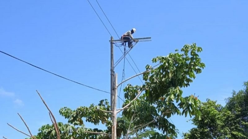 Afinia-cortesdel8al11deseptiembre (2)