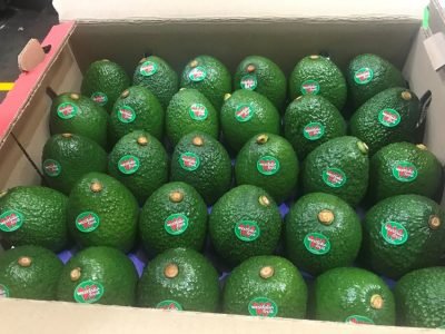 AguacateHass-Westfalia Fruit Colombia