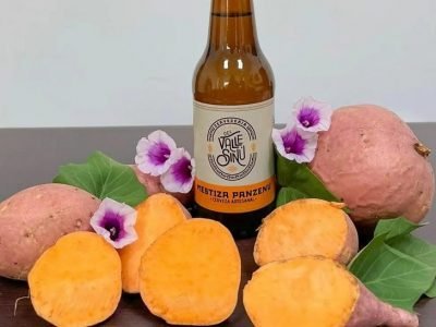 CervezaMestizaPanzenú-concebadaymalta (2)