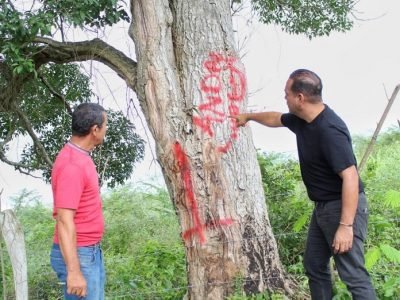 Fedegán-invasióndeprediosenMagdalena