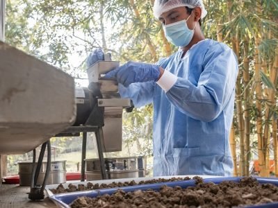 SENA Formación-nuevoscursos (2)