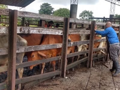 Vacunadores extremos-foto9 (2)