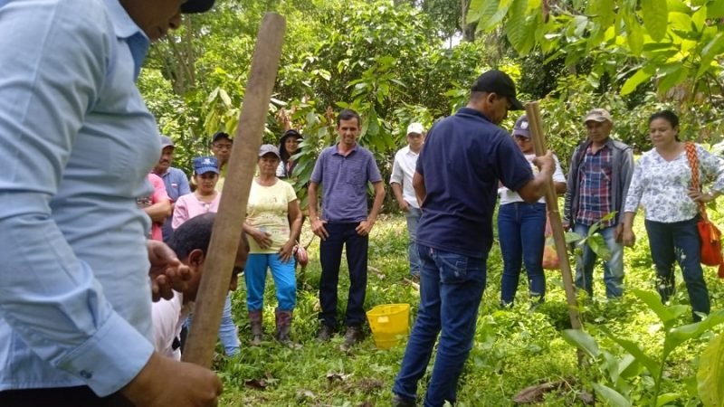 Valencia-cacaocultoresenSantander-1