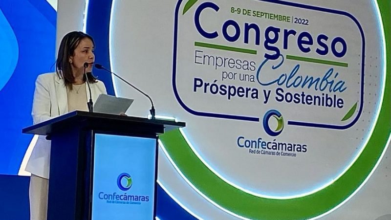 Vice-María Fernanda Valdés-DesarrolloEmpresarial-Confecámaras (1)