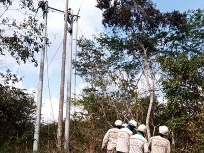 Afinia-Valencia-12deoctubre (2)