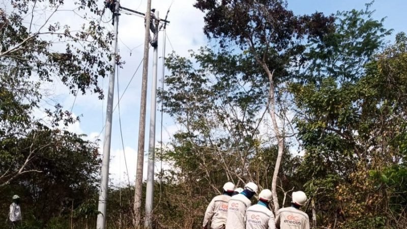 Afinia-Valencia-12deoctubre (2)