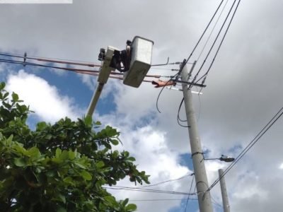 Afinia-cortesdel31deoctubreal3denoviembre (2)