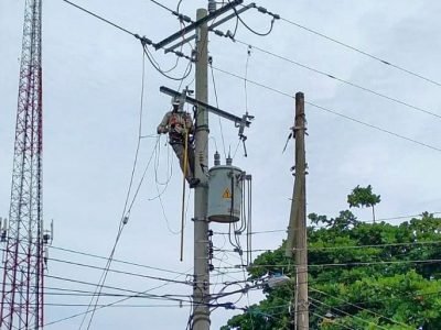Afinia-cortesenCotorrayPurísimaeste25deoctubre (2)