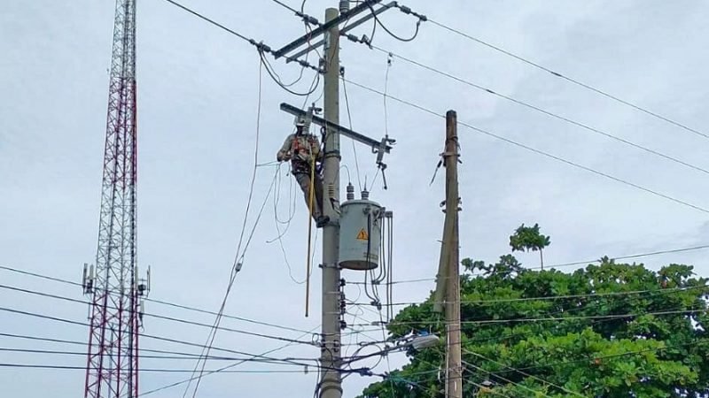 Afinia-cortesenCotorrayPurísimaeste25deoctubre (2)