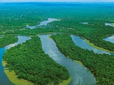 AmazoníaenColombia (3)
