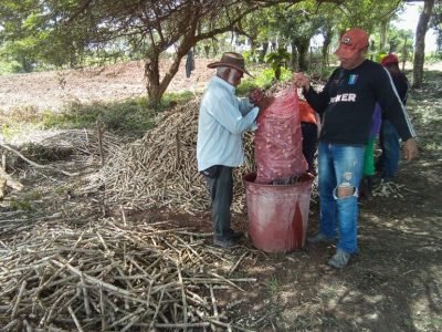 Asoagrochimá-yucasemilla