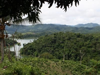 Carbononeutralidad (2)